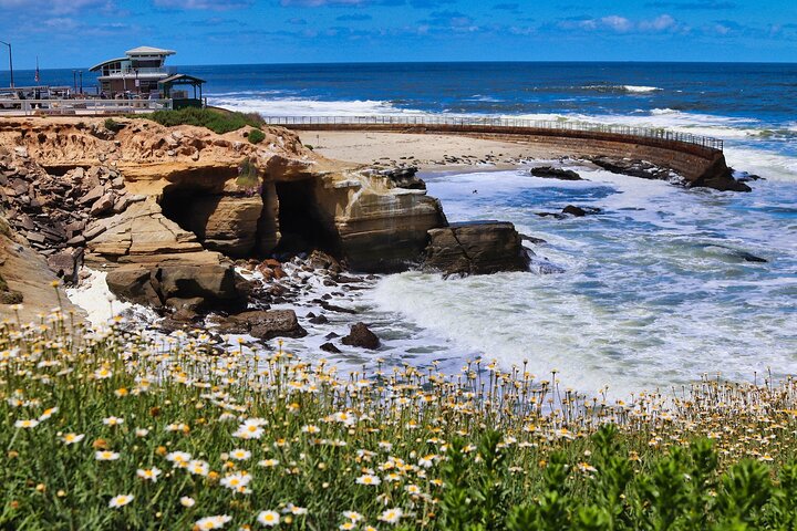  San Diego's Ultimate Coastal Driving Tour