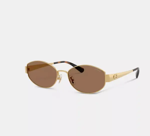Hardware Metal Narrow Oval Sunglasses